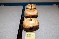 RSP_2586